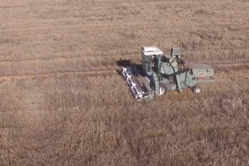 drone short of a vintage header in a paddock