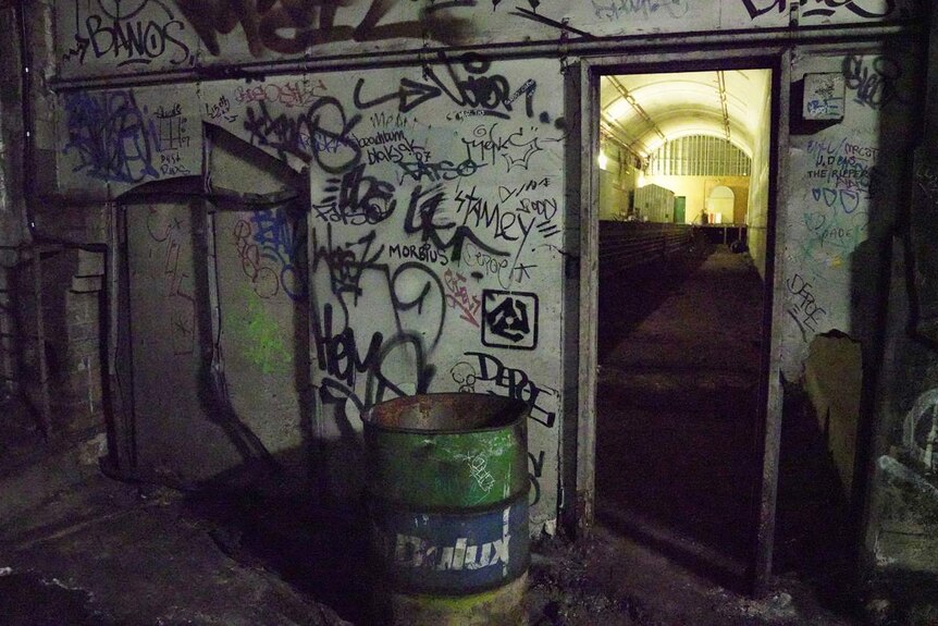 A doorway surrounded by graffiti.