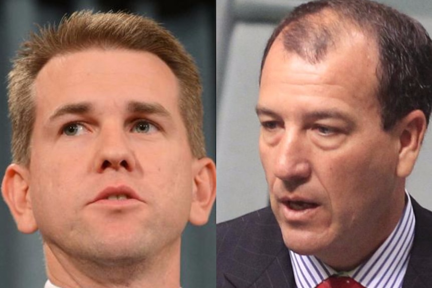 There is speculation former Queensland attorney-general Jarrod Bleijie could be interested in Mal Brough's seat.