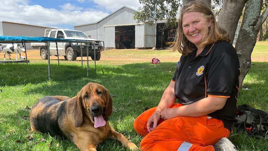Woman wearing black polo shirt and bright orange pants sitting on grass with big bloodhound puppy and tongue hanging out