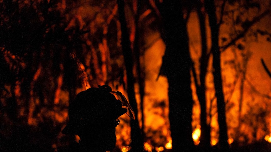 Firefighter battles NSW bushfires