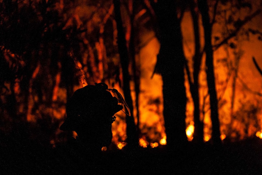 Firefighter battles NSW bushfires
