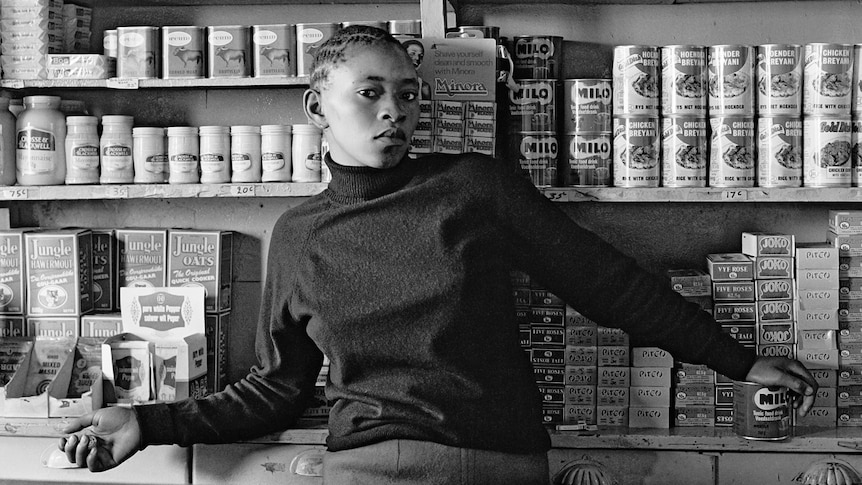 Young boy stars at camera from behind shop counter, with shelves full of tinned food behind him. Black and white photograph.