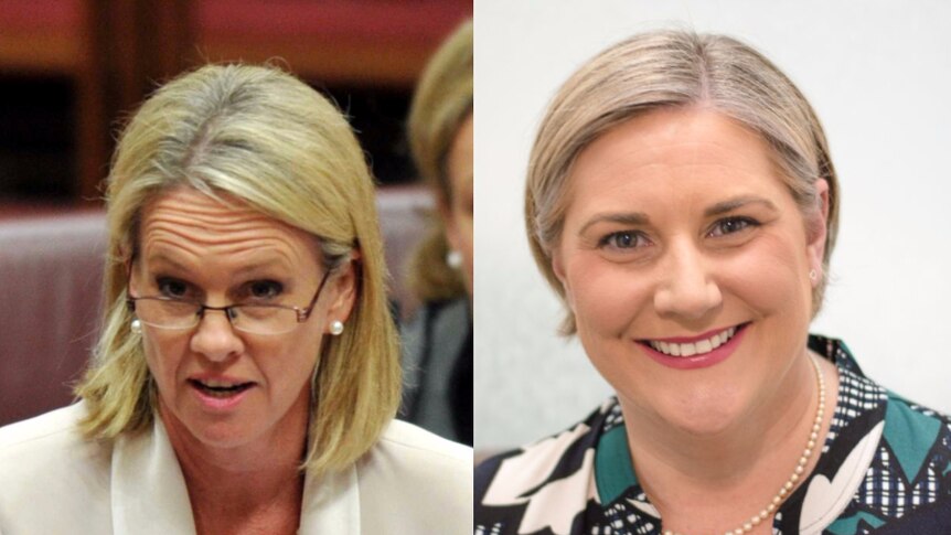 Side-by-side photos show Fiona Nash raising her eyebrows in the Senate and Hollie Hughes smiling towards camera.