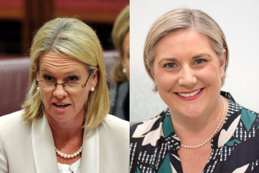 Side-by-side photos show Fiona Nash raising her eyebrows in the Senate and Hollie Hughes smiling towards camera.