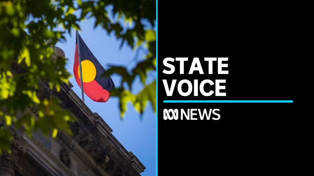 SA push to create Indigenous Voice to Parliament - ABC News