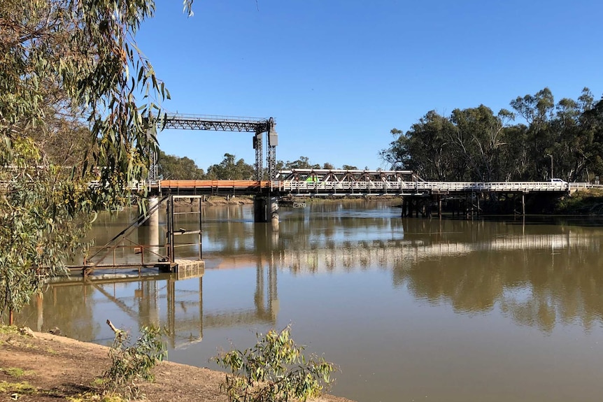 a wide shot of an old bridge spanning the Murray River with a gum tree in the foreground