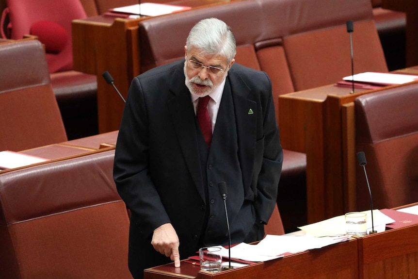 Kim Carr points towards his desk as he speaks in the Senate