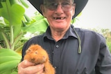 A man holding a guinea pig