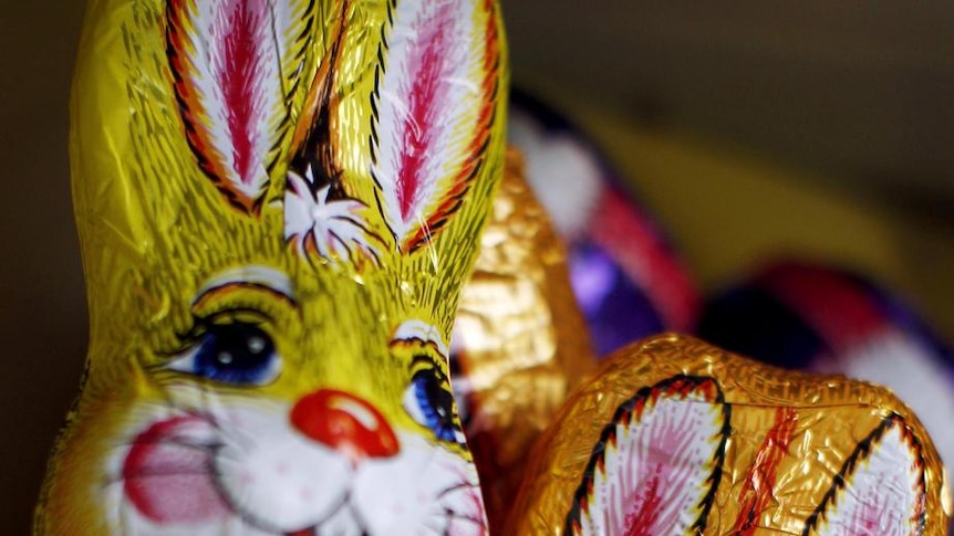 Chocolate easter bunnies sit on a shelf