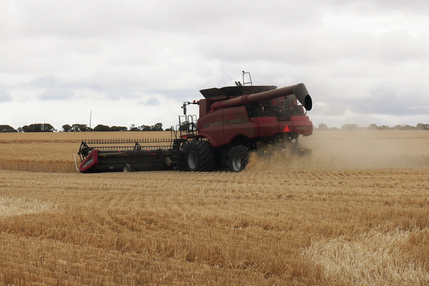 Header harvesting crops.