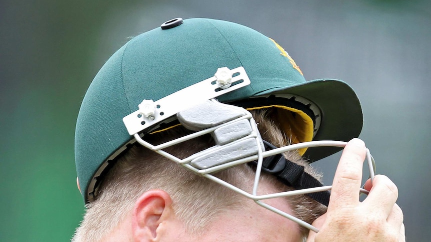 David Warner removes his helmet