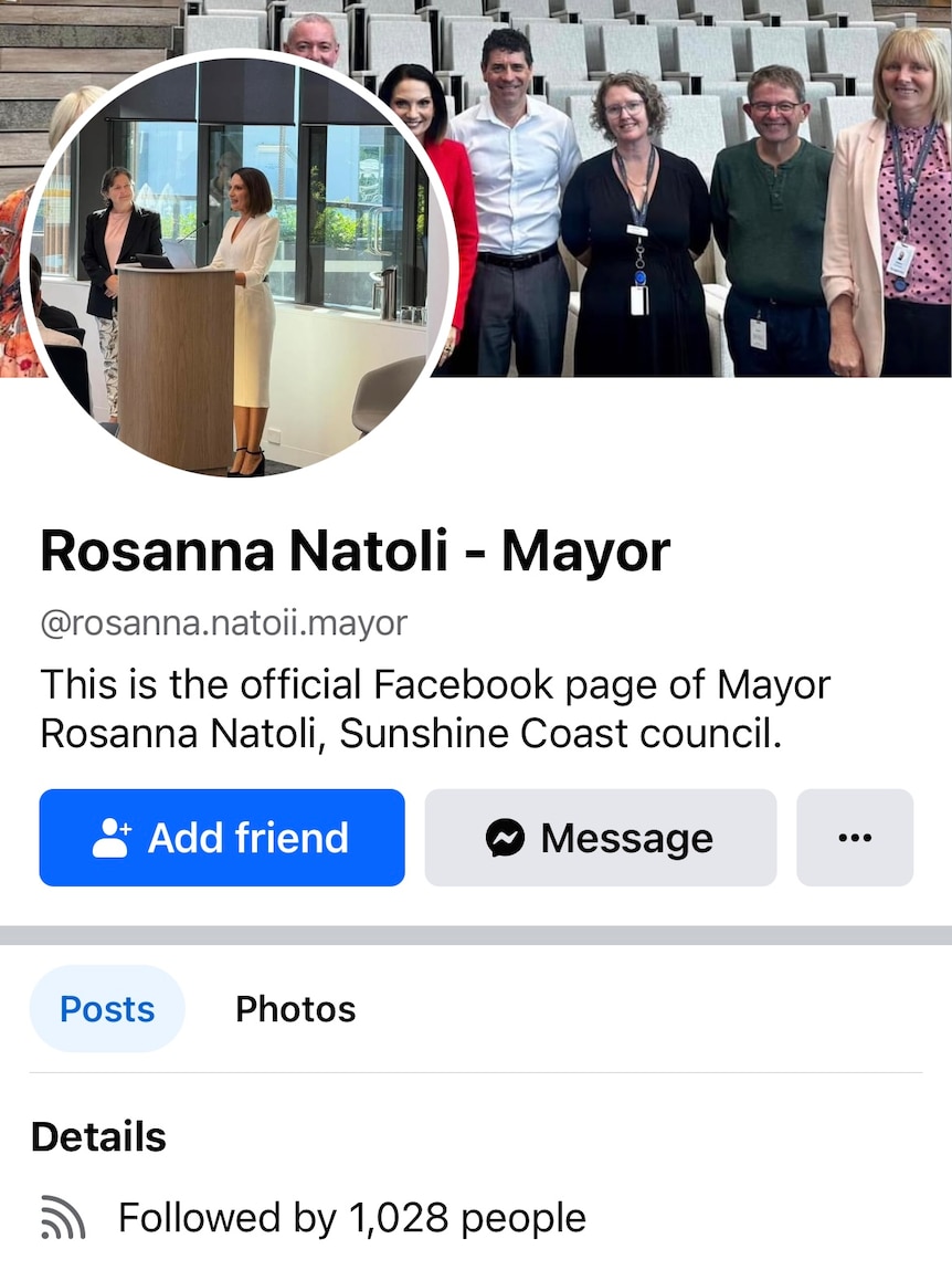 Fake Rosanna Natoli page
