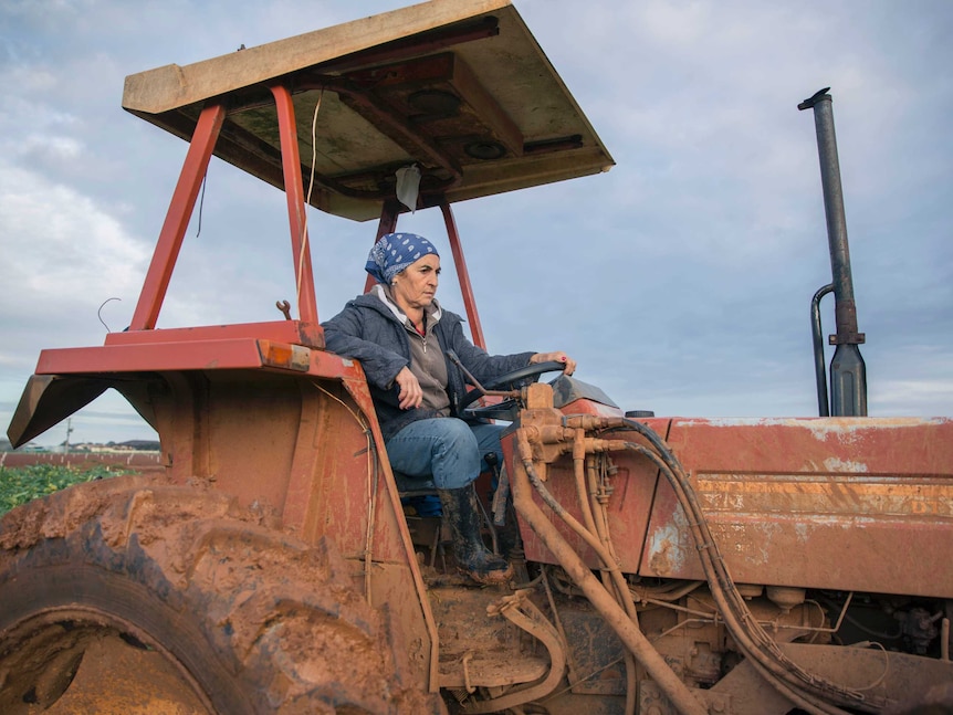 Rita on the tractor.