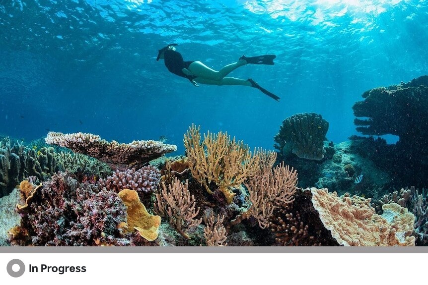 A woman wearing flippers swims above coral in an underwater shot