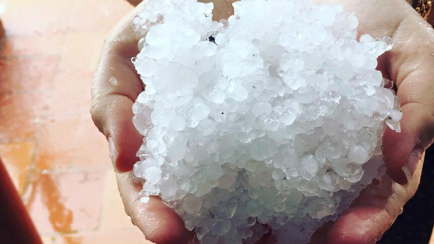 Hail collected from outside ABC Alice Springs