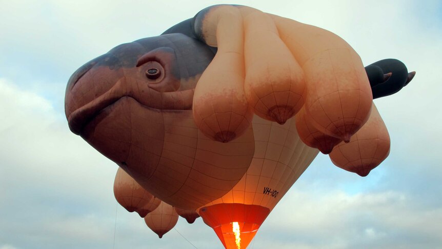 The Skywhale hot air balloon rises over Hobart.