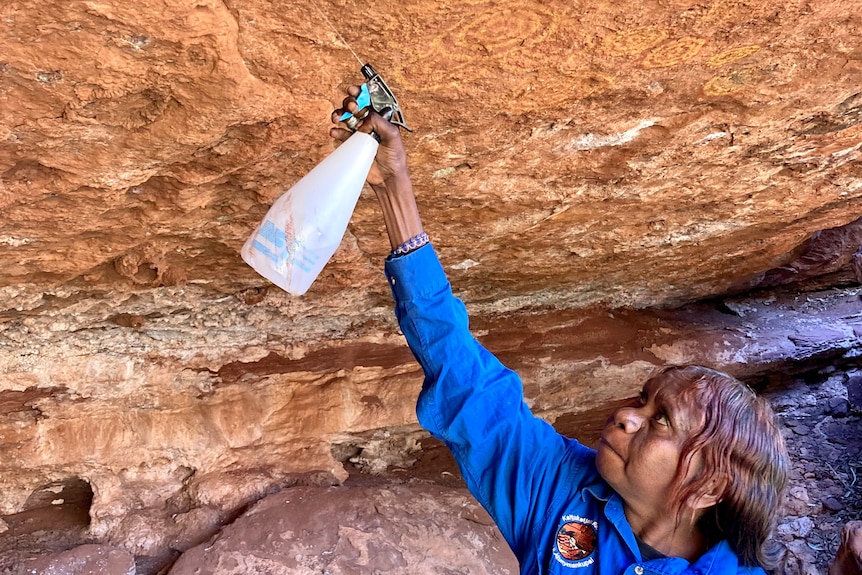 A female ranger sprays methylated spirits onto a swallows' nest made of mud on rock art