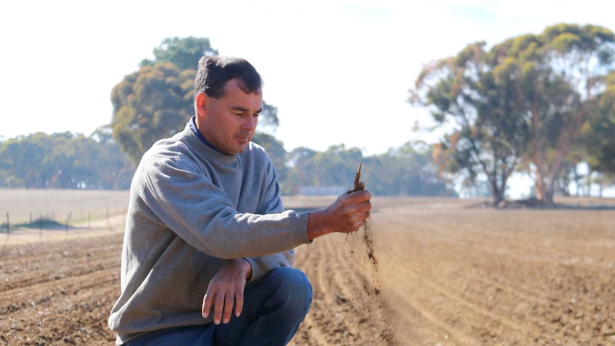 York farmer Rhys Turton kneeling on the ground with dry earth running through his hands.