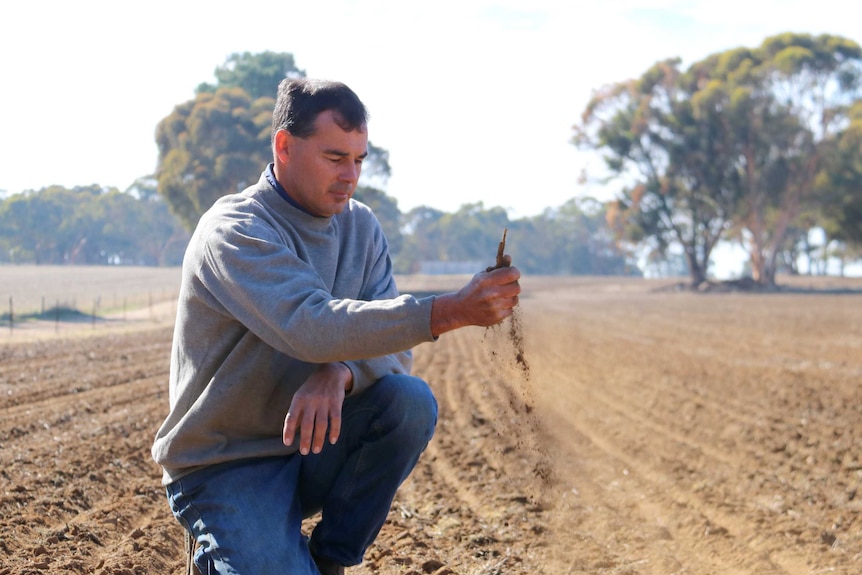 York farmer Rhys Turton kneeling on the ground with dry earth running through his hands.