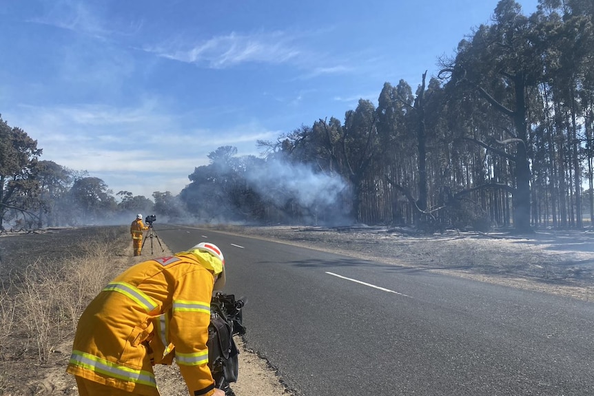 Smoke rises from trees blackened by a bushfire.