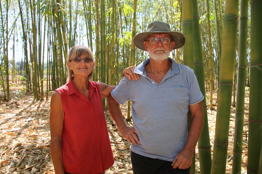 Berry Springs growers stand in their bamboo plantation