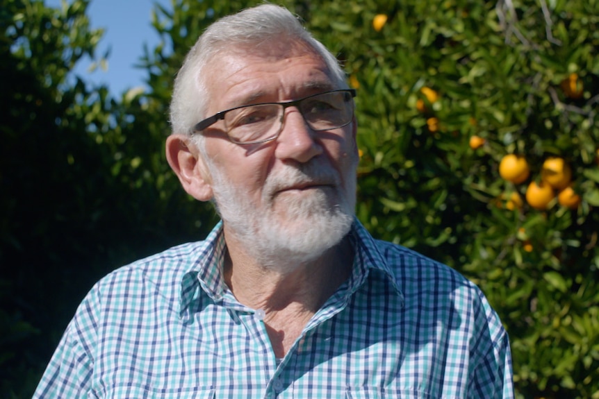 Middle-aged man with grey beard, wearing a check shirt and standing in an orange orchard. 