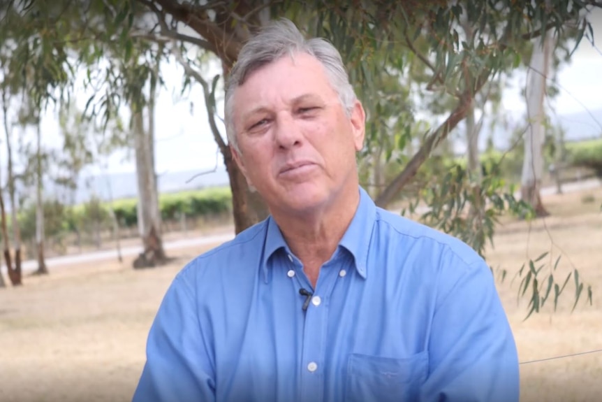 A man in a blue shirt stands in a field in front of a tree