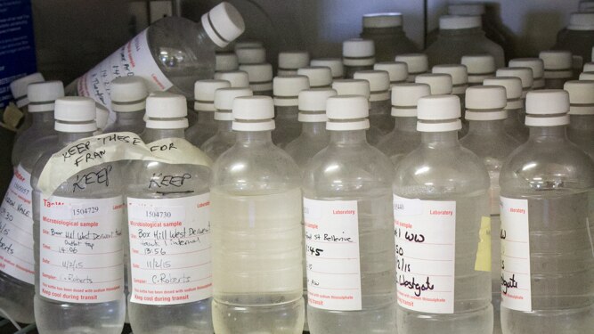 Samples of water for testing