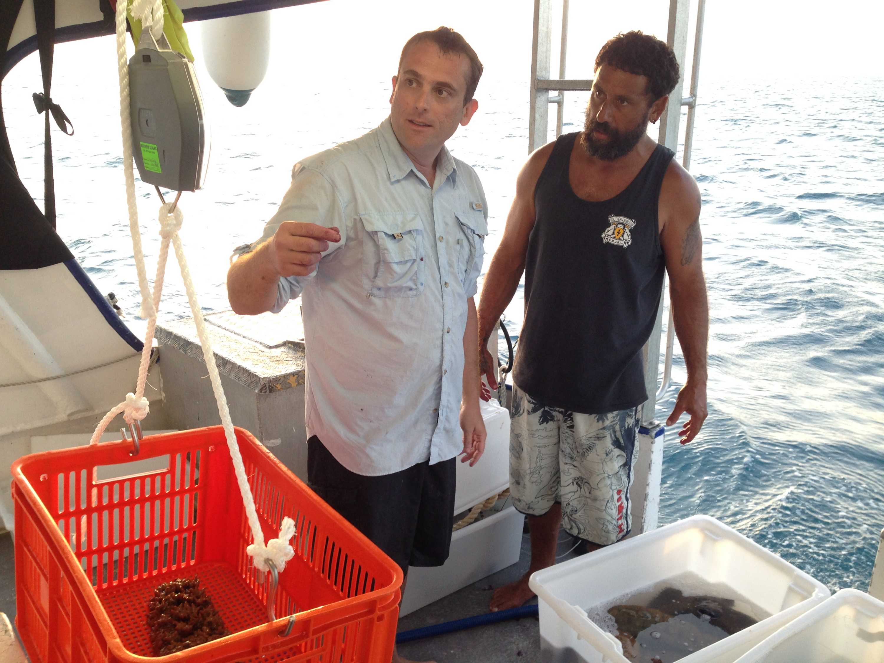 Two men watching a scales on a fishing boat.