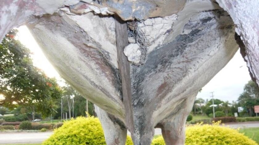 The council has to drive steel spikes through the bulls' testicles to prevent removal.