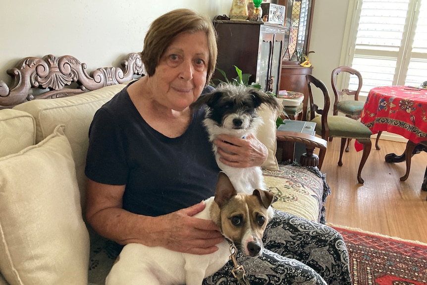 A woman in a black top sits on her lounge with two small dogs