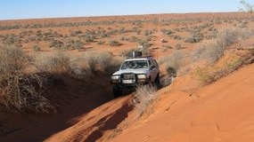 Tourists leave their mark on the outback, warns an ecologist