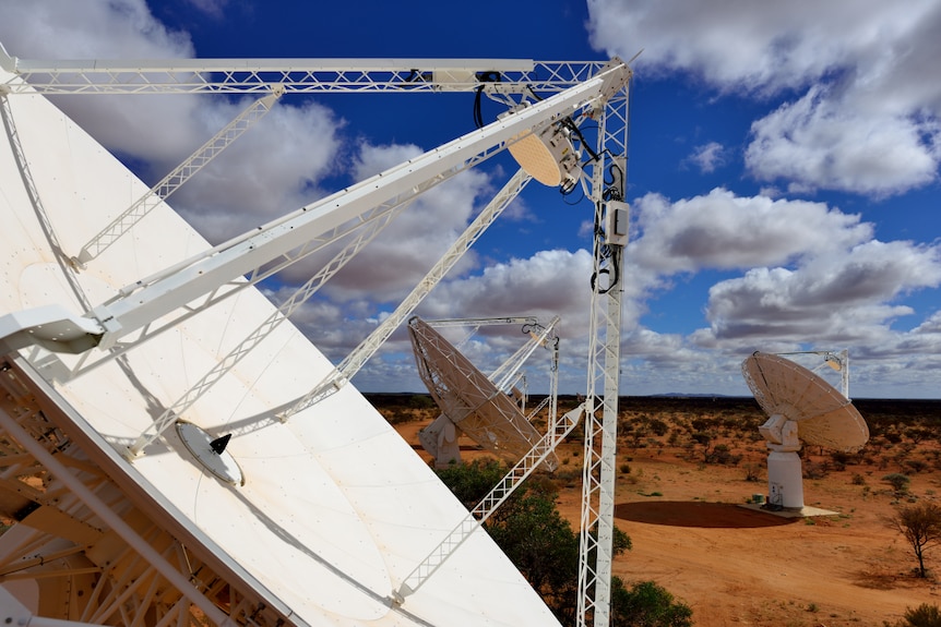 Primo piano dei piatti del radiotelescopio ASKAP