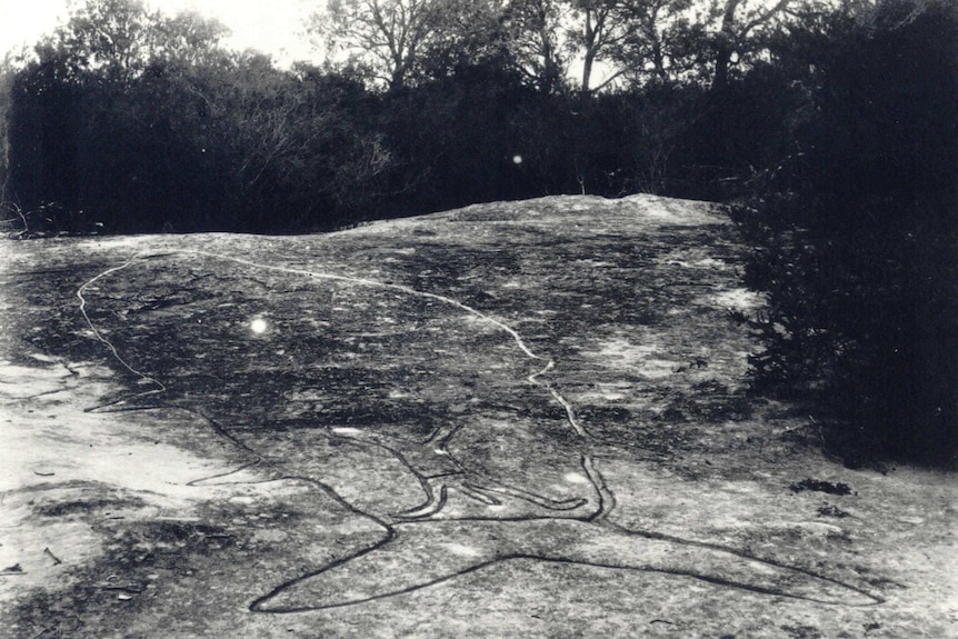 This photo of an Aboriginal engraving at Balls Head was taken before 1900.