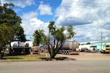 Trucks undergoing inspections at Carrington.
