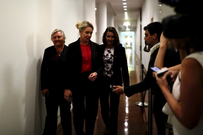 Bridget McKenzie, Sam McMahon and Perrin Davey walk past journalists in a hallway
