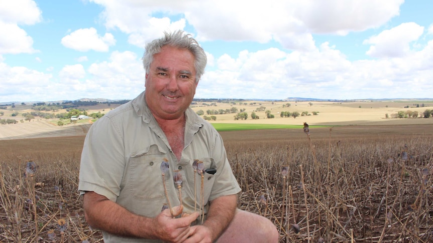 David Forsyth, a poppy grower from Cootamundra