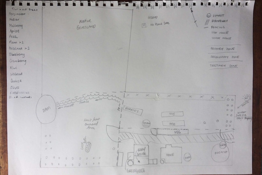 A pencil drawn sketch of a home garden with fruit trees and vegetable patches, a plan for a first home.