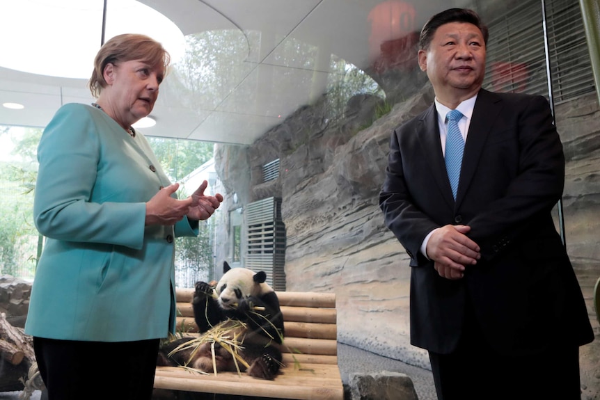 German Chancellor Angela Merkel and Chinese President Xi Jinping stand in front of a panda enclosure.