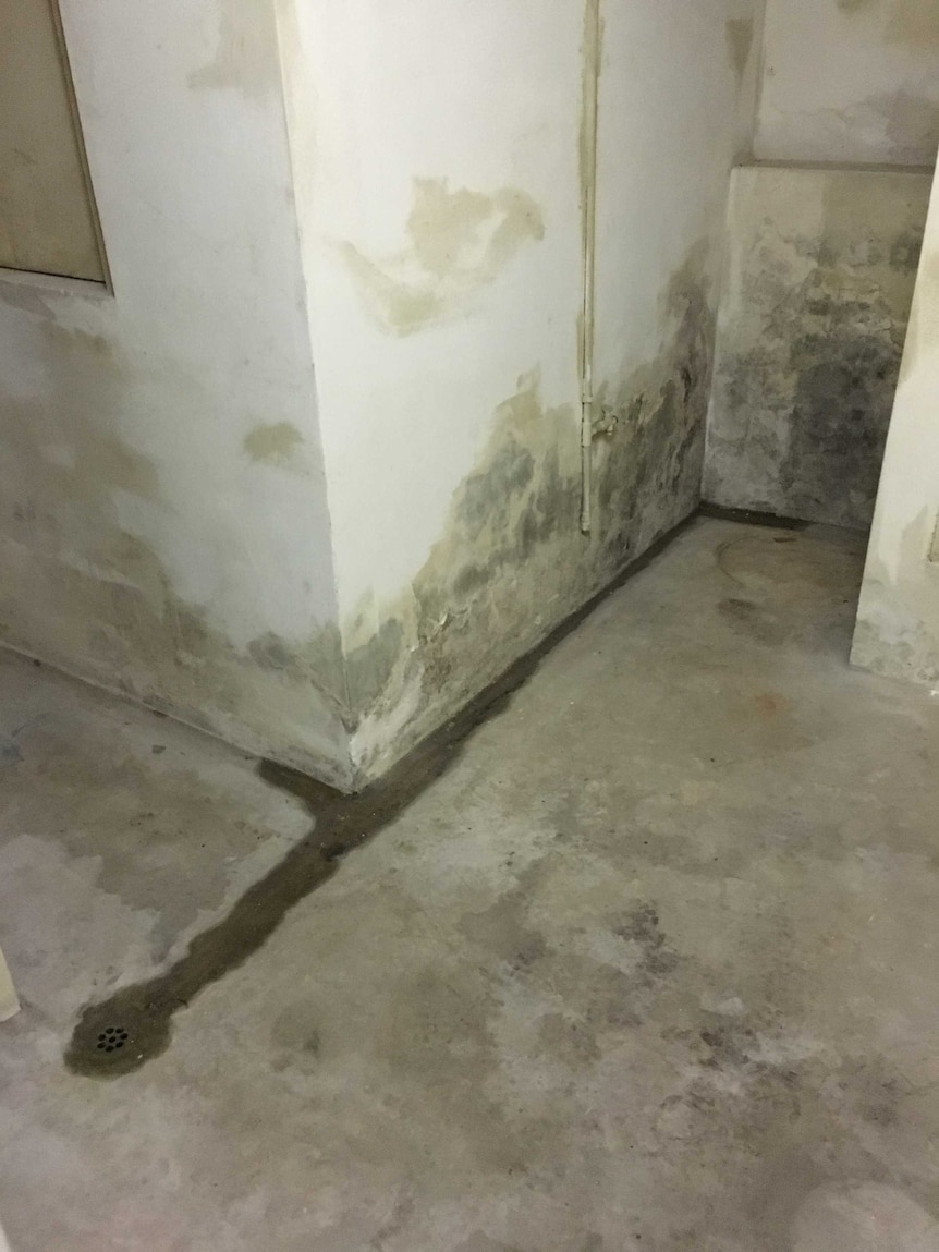 Rising damp on basement walls.