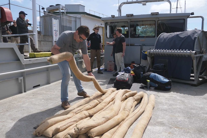 A picture of sandbags being loaded onto a barge at Port Franklin.