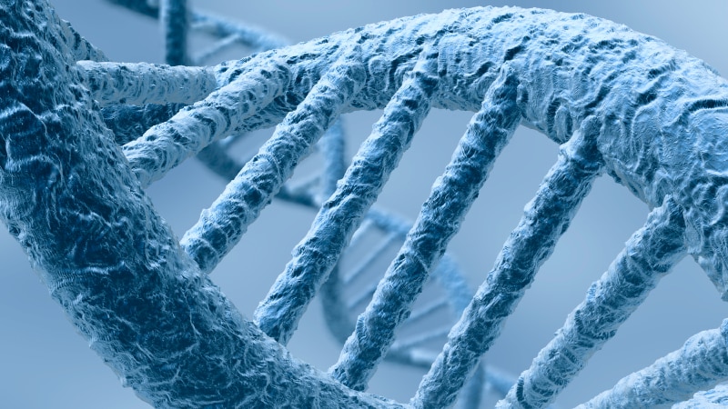 Epigenetics is the science that describes all modifications to genes other than changes to the DNA sequence itself.