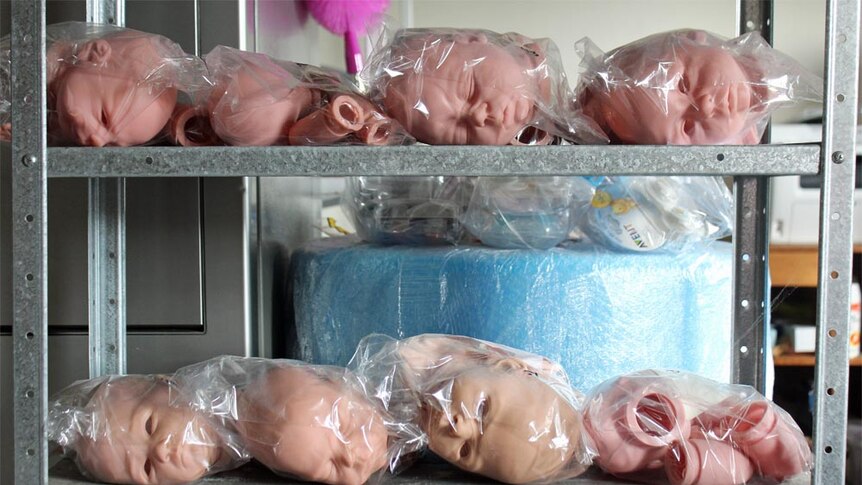 Shelves of reborn dolls, ready to be painted and given life.
