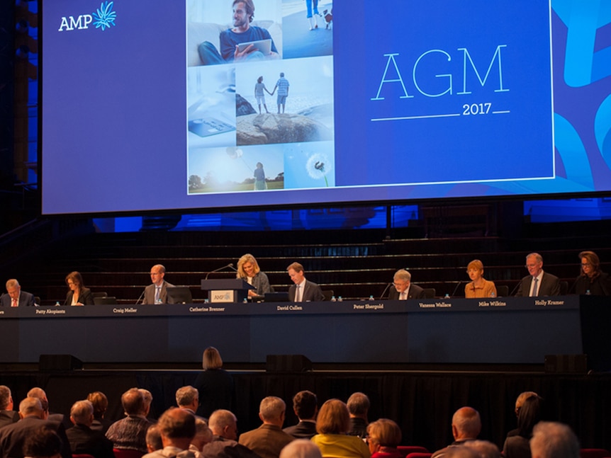 AMP board at the 2017 AGM