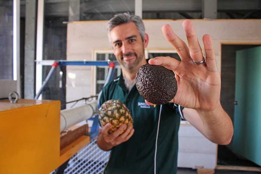 A man holding an avocado and a pineapple, smiling.