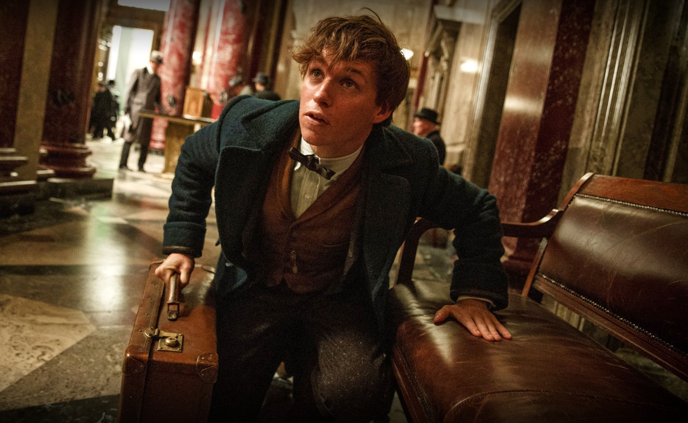 Review: The Magic Is Back In Harry Potter Spinoff Fantastic Beasts And ...