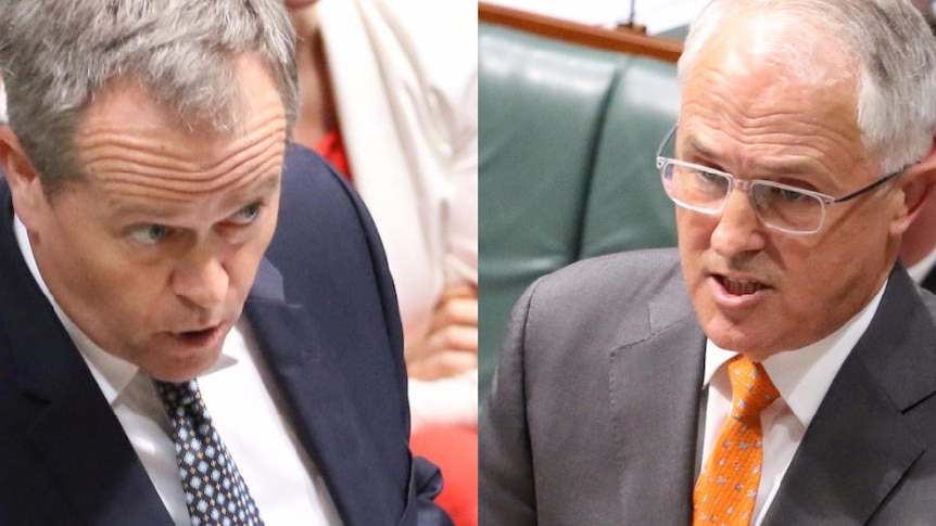 Bill Shorten and Malcolm Turnbull side by side pointing fingers.