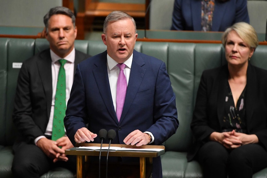 Labor Leader Anthony Albanese speaks in Parliament with Richard Marles and Tanya Plibersek behind him.