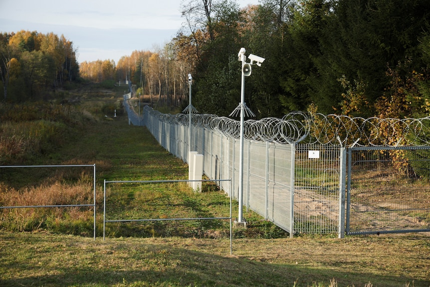 razor wire fence through woodland